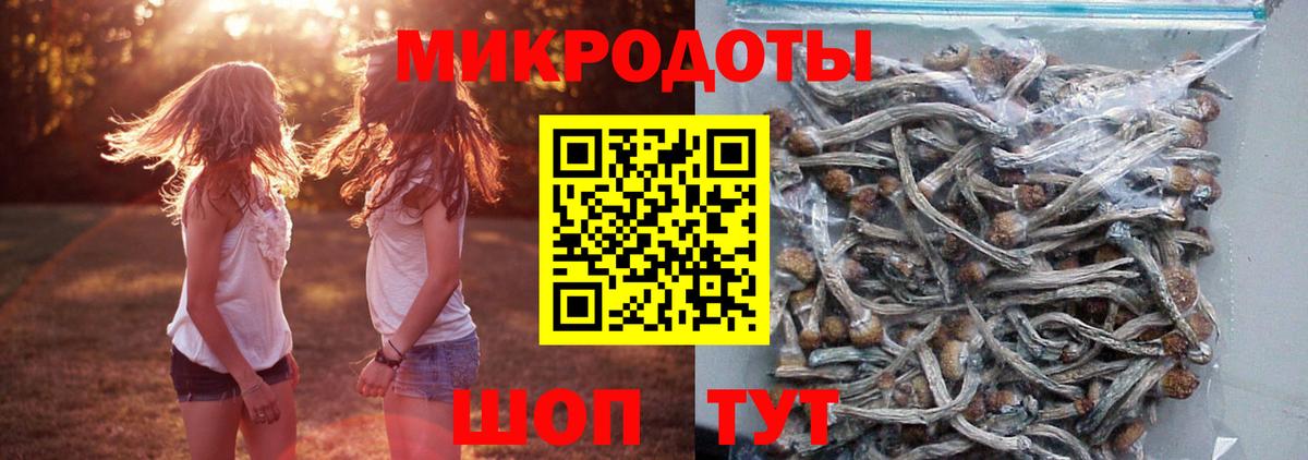 Псилоцибиновые грибы мицелий Янаул