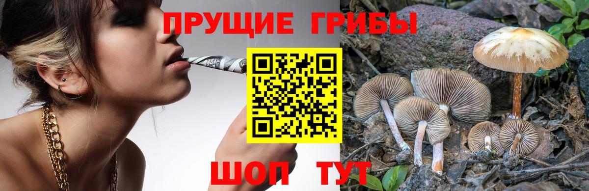 Янаул  Галлюциногенные грибы Cubensis  Вход с VPN 
